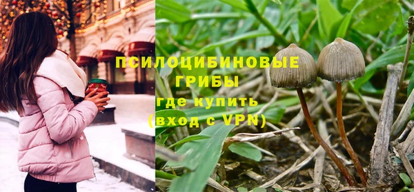 дурь Арсеньев