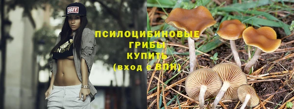 твердый Горняк