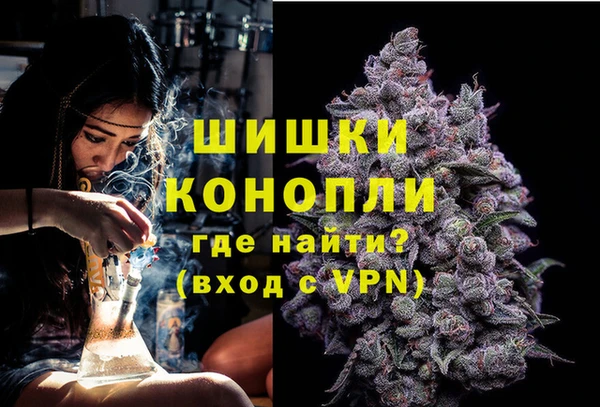 крисы Армянск