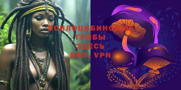 дурь Арсеньев